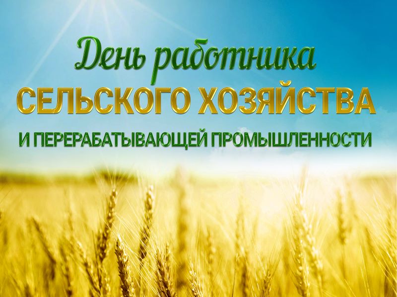 День работника сельского хозяйства и перерабатывающей промышленности.