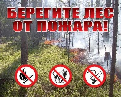 Напоминаем о высокой пожарной опасности в лесах!.